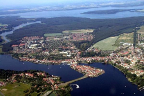 Katzensprung zum Wald